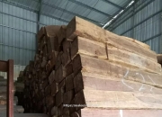 开云体育-塞拉利昂击败尼加拉瓜晋级田径决赛