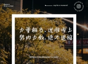 开云体育-德累斯顿队遇强则强，无惧挑战再夺胜利