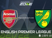 开云体育-诺维奇主场-大胜阿森纳，豪取四连胜