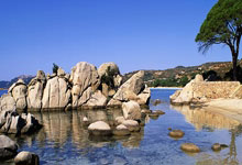 开云体育-水晶宫客场击败狼队，取得突出胜利