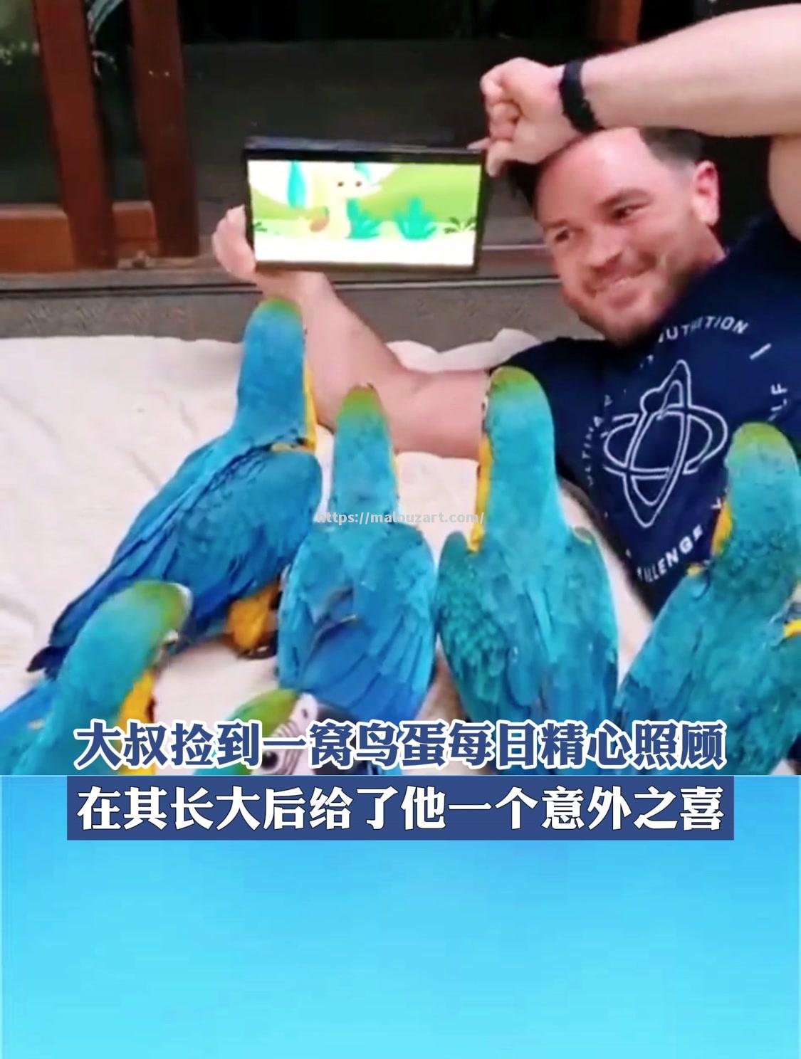 阿拉瓦球员获得国家队征召，意外之喜