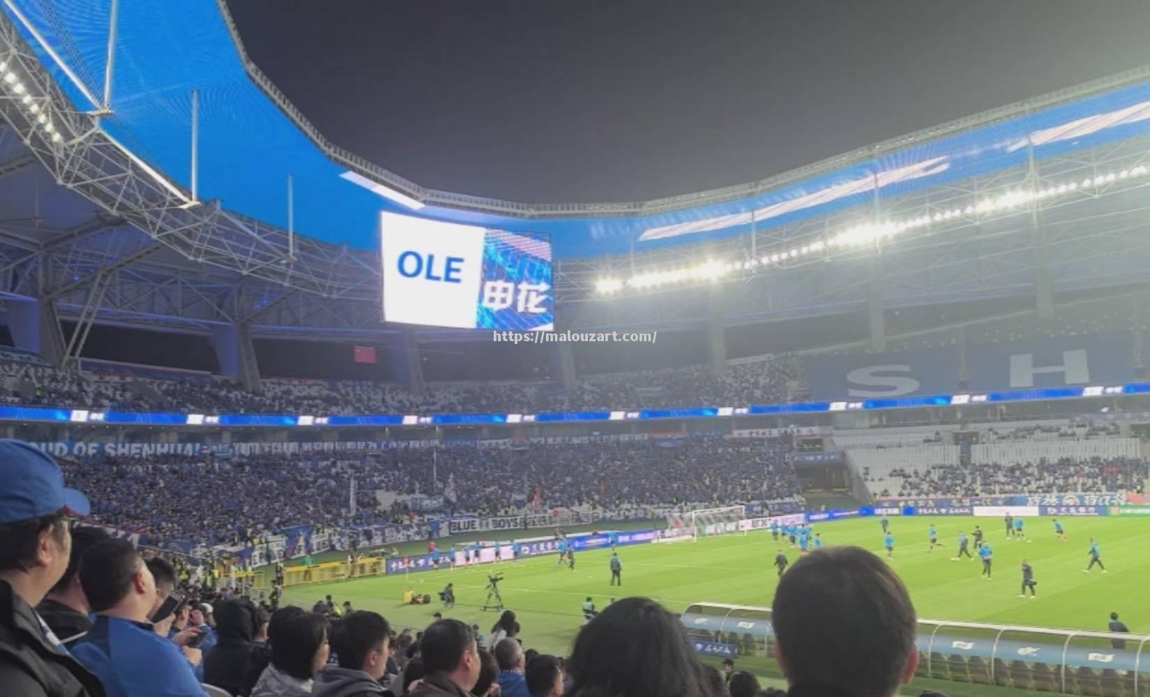 上海申花客场取胜，领跑积分榜