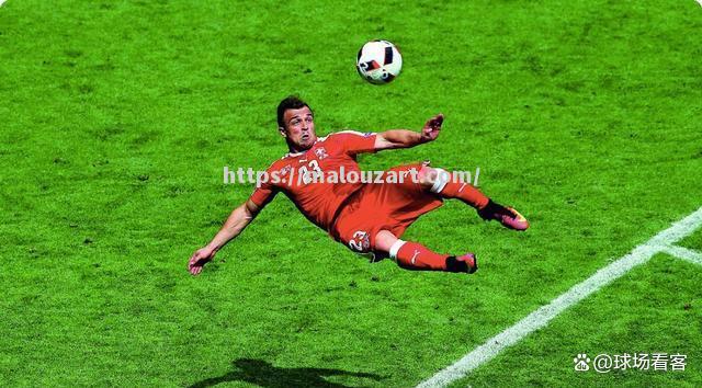 瑞士队球员在比赛中表现出色，赢得了球迷的赞赏