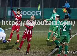 罗斯扎勒主场力擒奥海堡领跑奥地利甲