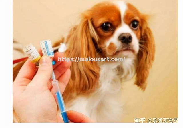 欧预赛球队表现抢眼，战绩成为热议话题